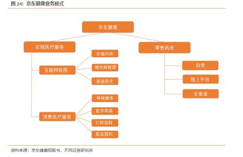 天風(fēng)證券 從行業(yè)紅利逐步釋放看京東健康（06618）成長(zhǎng)空間——互聯(lián)網(wǎng)銷售的機(jī)遇與前景